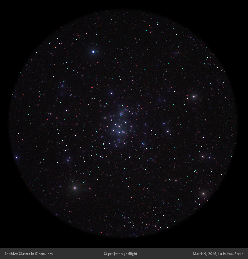 m44 beehive cluster as visible in binoculars